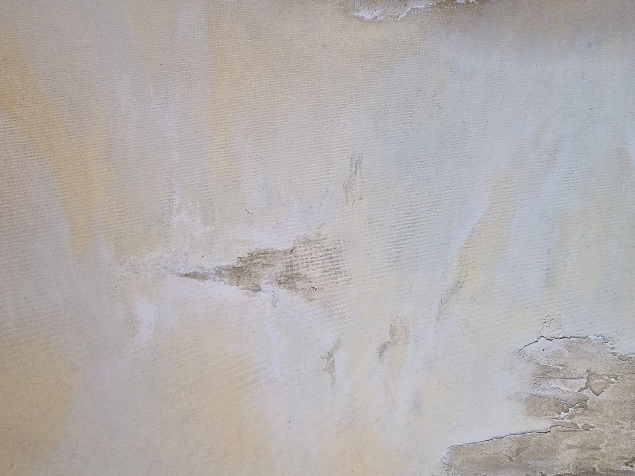 Weiße Welt, Detailaufnahme